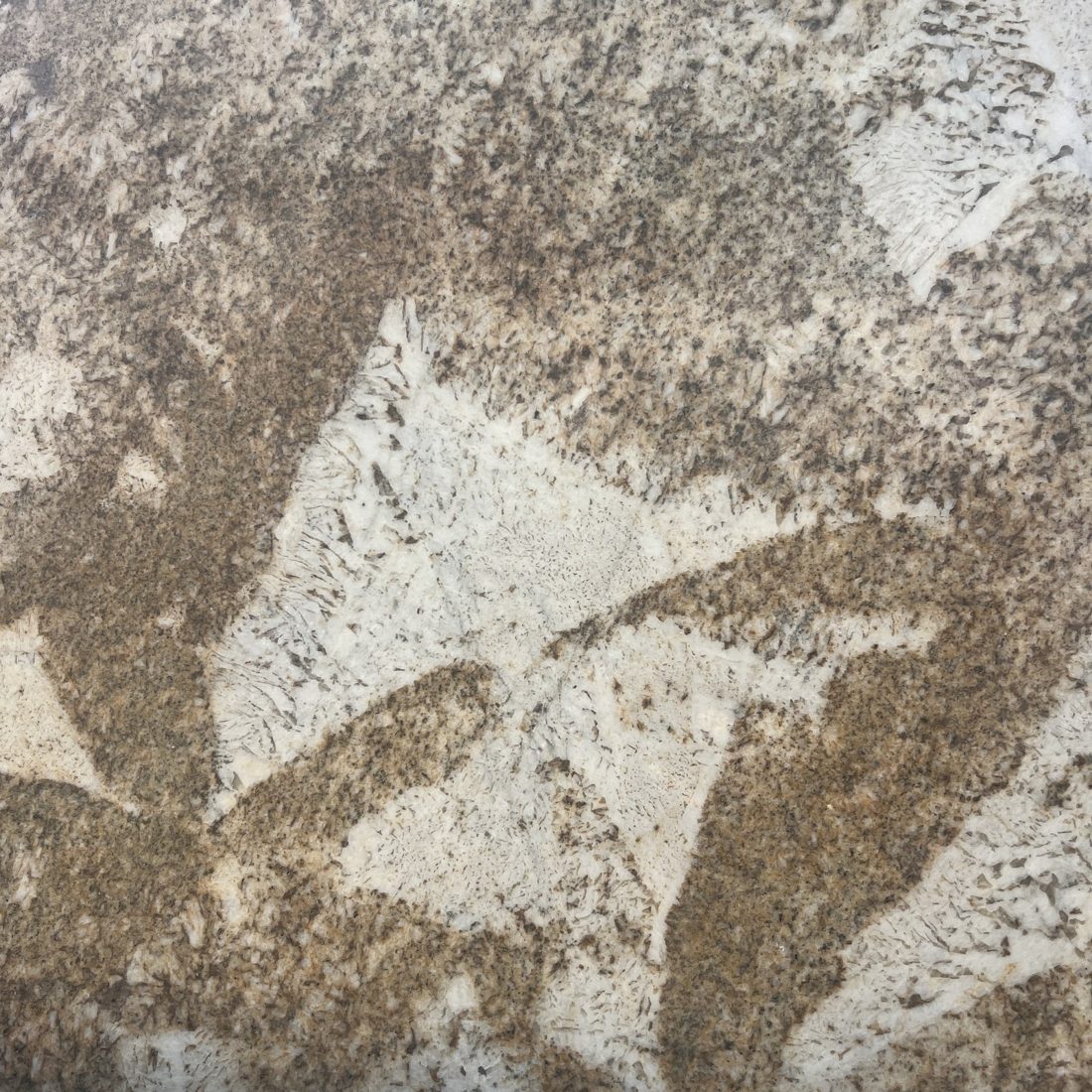Picasso Picasso granite, slab close-up (representative)