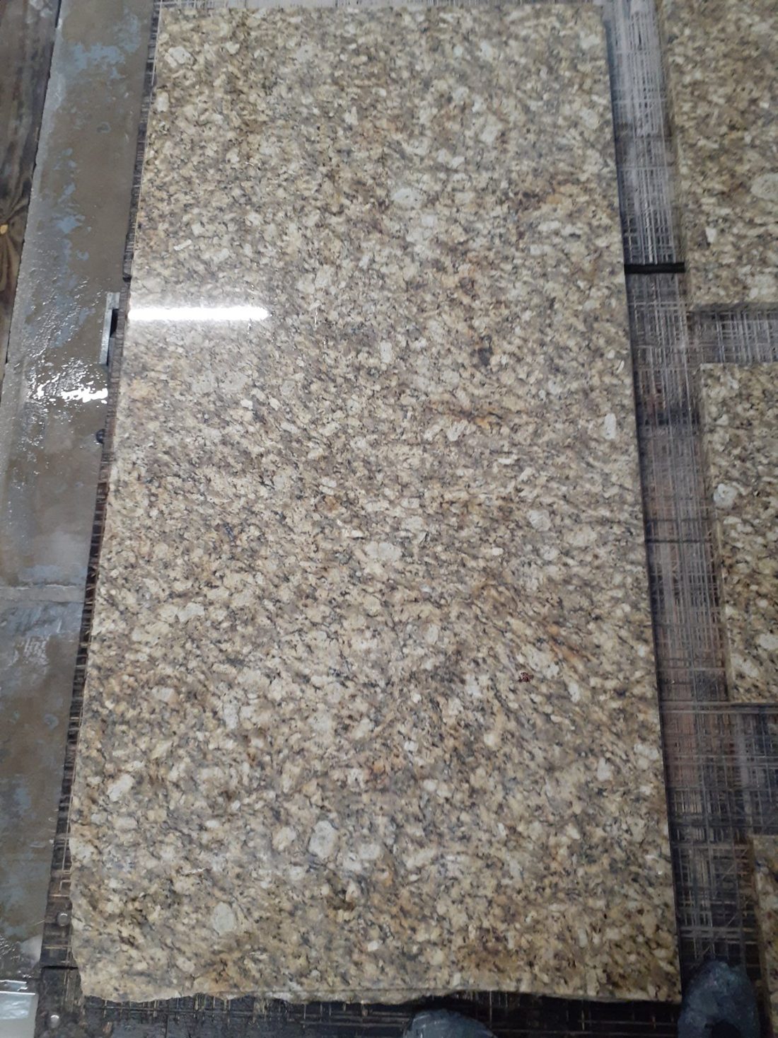 Giallo Napoleone Photographed in our warehouse, slab 10860-1.R1