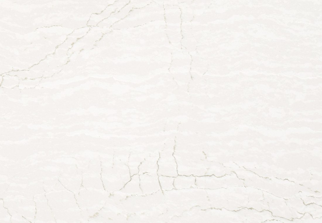 Cambria Delgatie Delgatie close-up