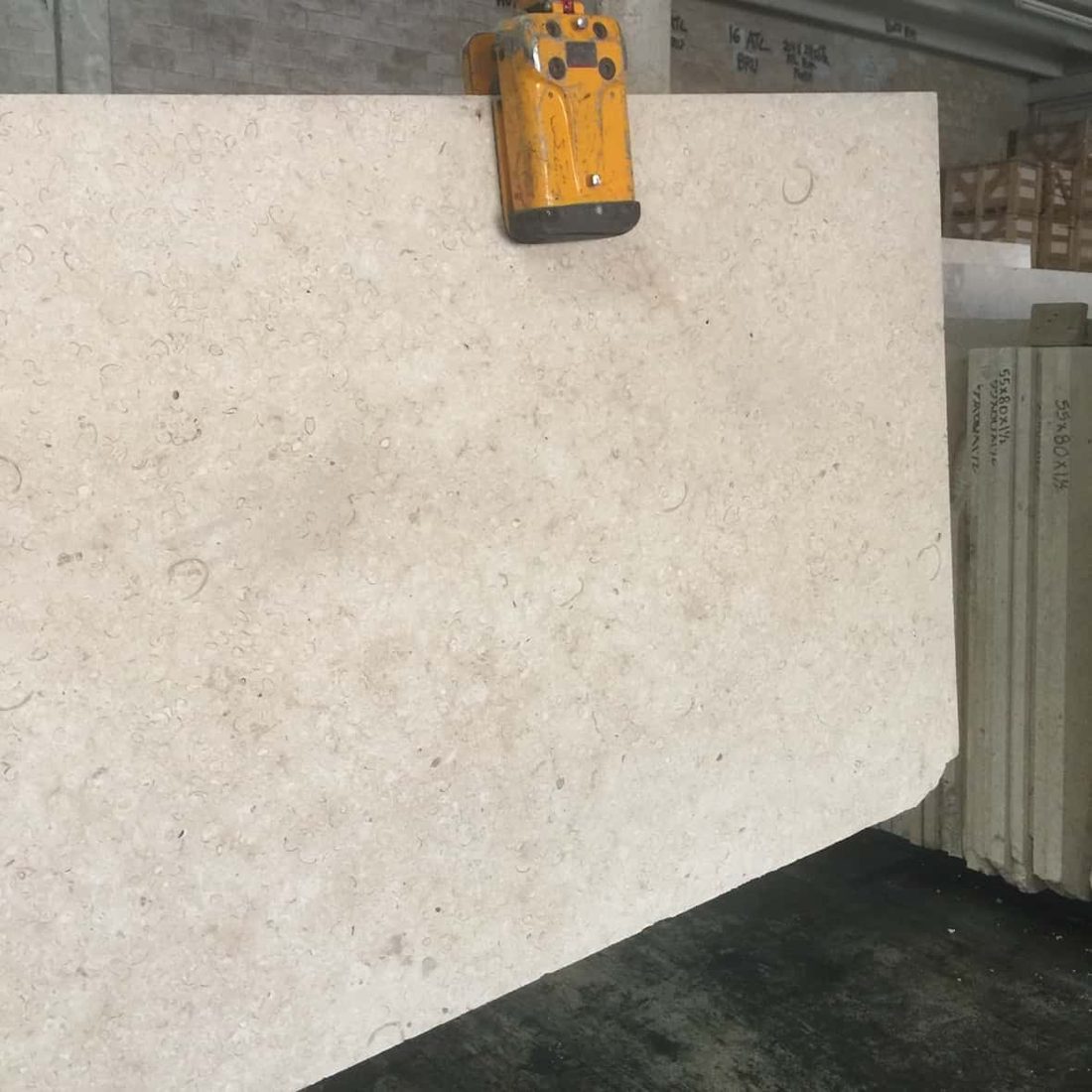 Atlantic Shell Stone Slab 