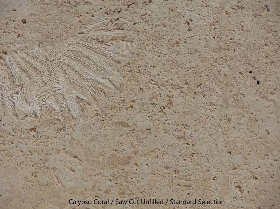 Calypso Coral Slab 