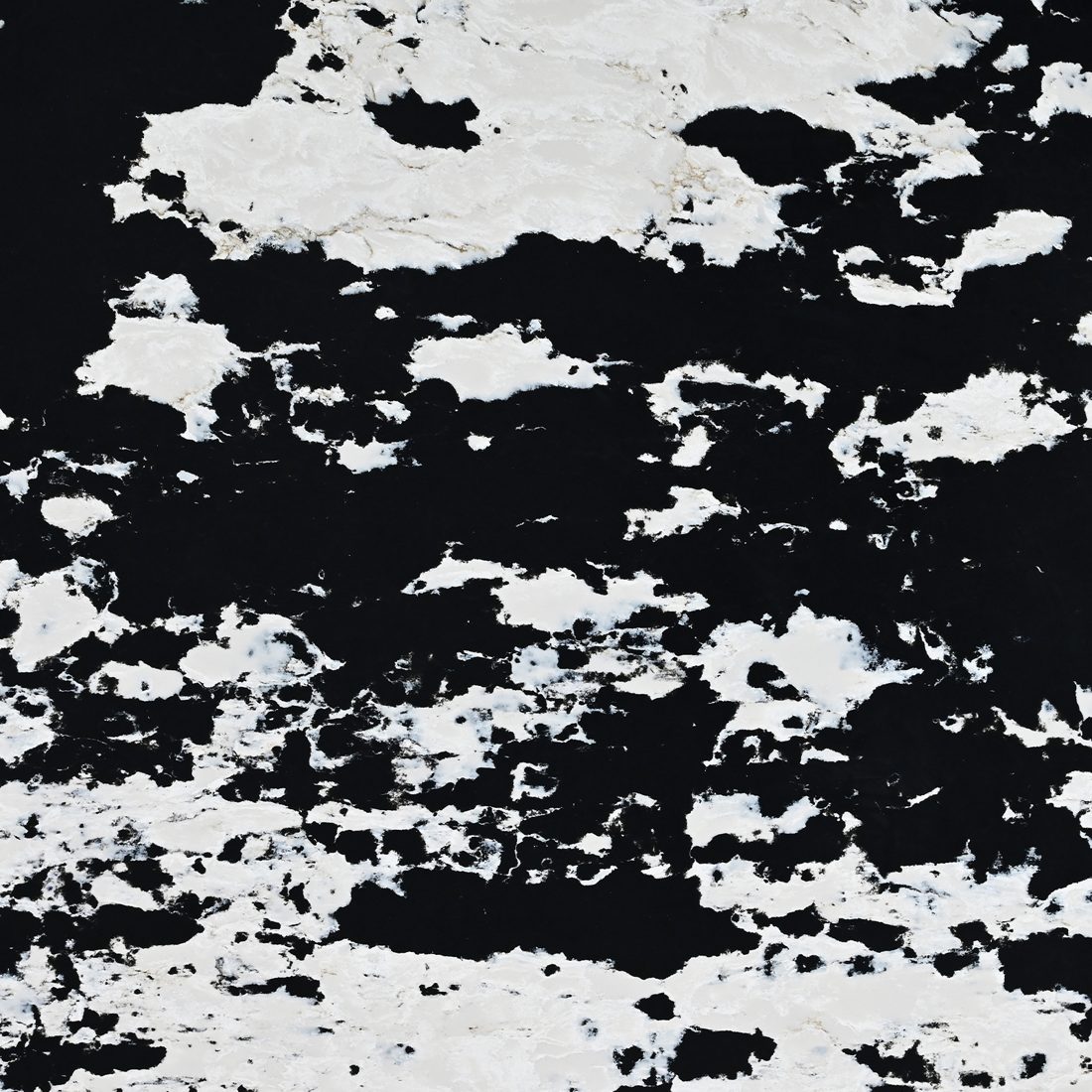 Marea Oscura 