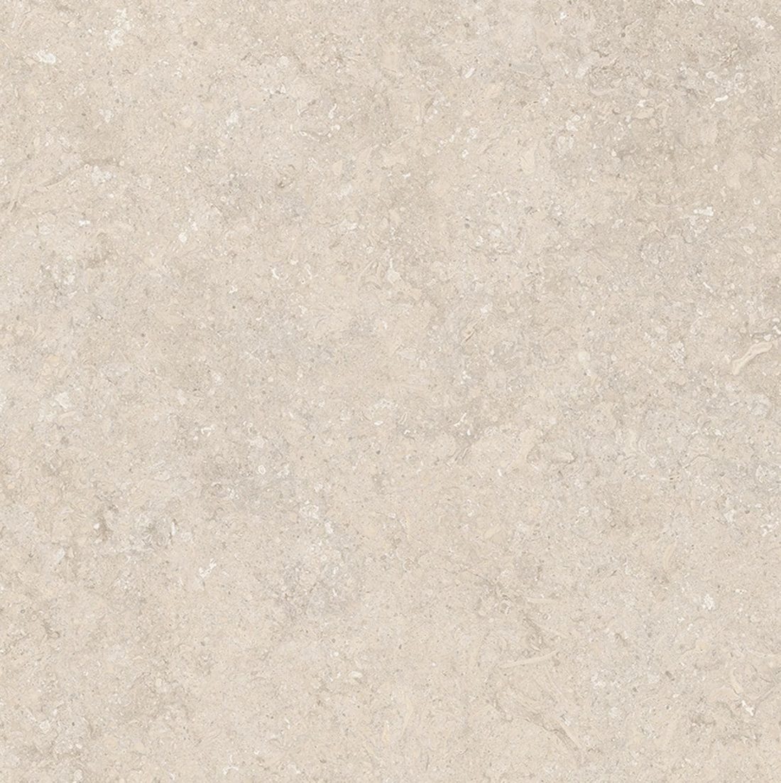 Infinity Palladium Ivory Palladium Ivory close-up