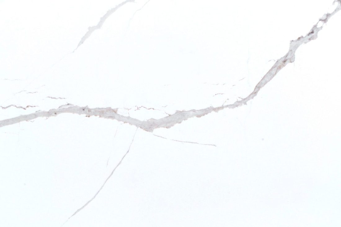 Pompeii Quartz Alessandria Alessandria Honed close-up