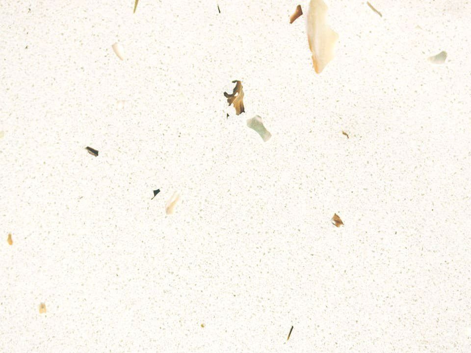 Pompeii Quartz Sunny Pearl Sunny Pearl close-up