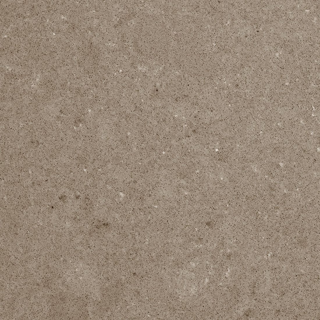 Pompeii Quartz Taupe Taupe close-up